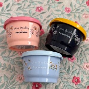 Tupperware Vera Bradley Floral Snack Cups